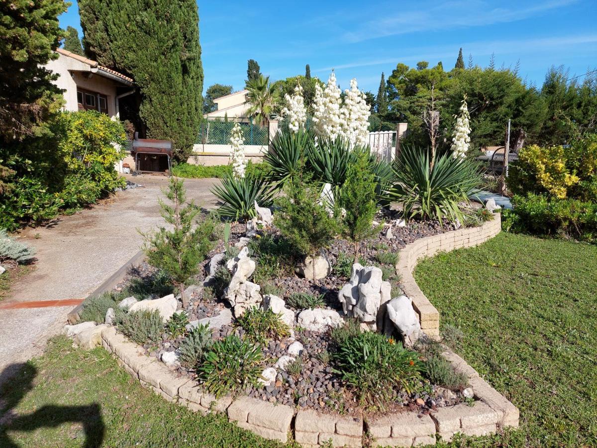La Maison De Georges - Climatisee -Terrain Et Vue Etang Marseillan  Ngoại thất bức ảnh